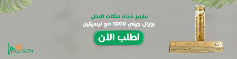 مارنيز-غذاء-ملكات-النحل-رويال-جيلي-1000-مع-ليسيثين