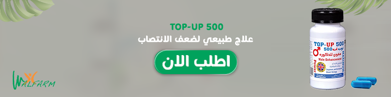 توب أب 500