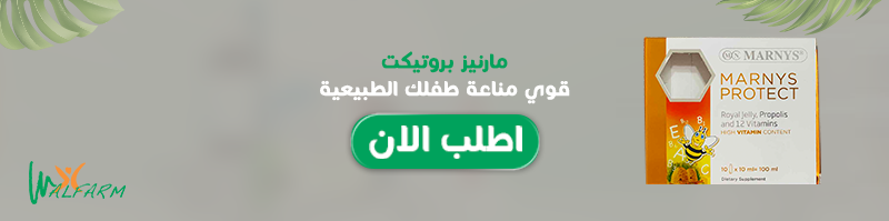 مارنيز-بروتيكت