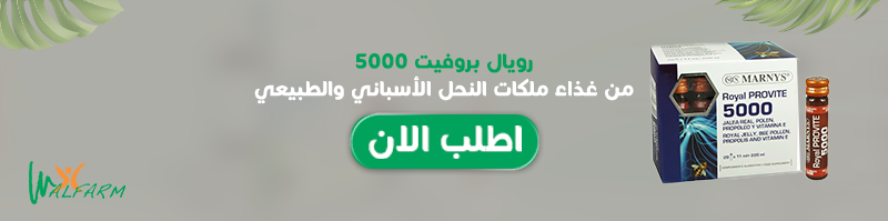 Walfarm افضل حبوب منشطه للجسم - غذاء ملكات النحل مارنيز رويال بروفيت 5000