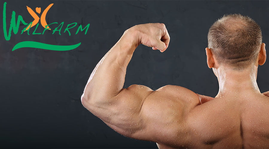 Walfarm افضل حبوب منشطه للجسم - غذاء ملكات النحل افضل حبوب منشطه للجسم